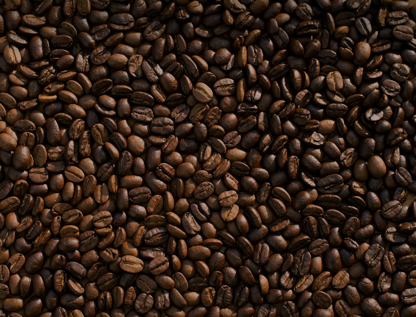 Roasted specialty coffee beans close-up