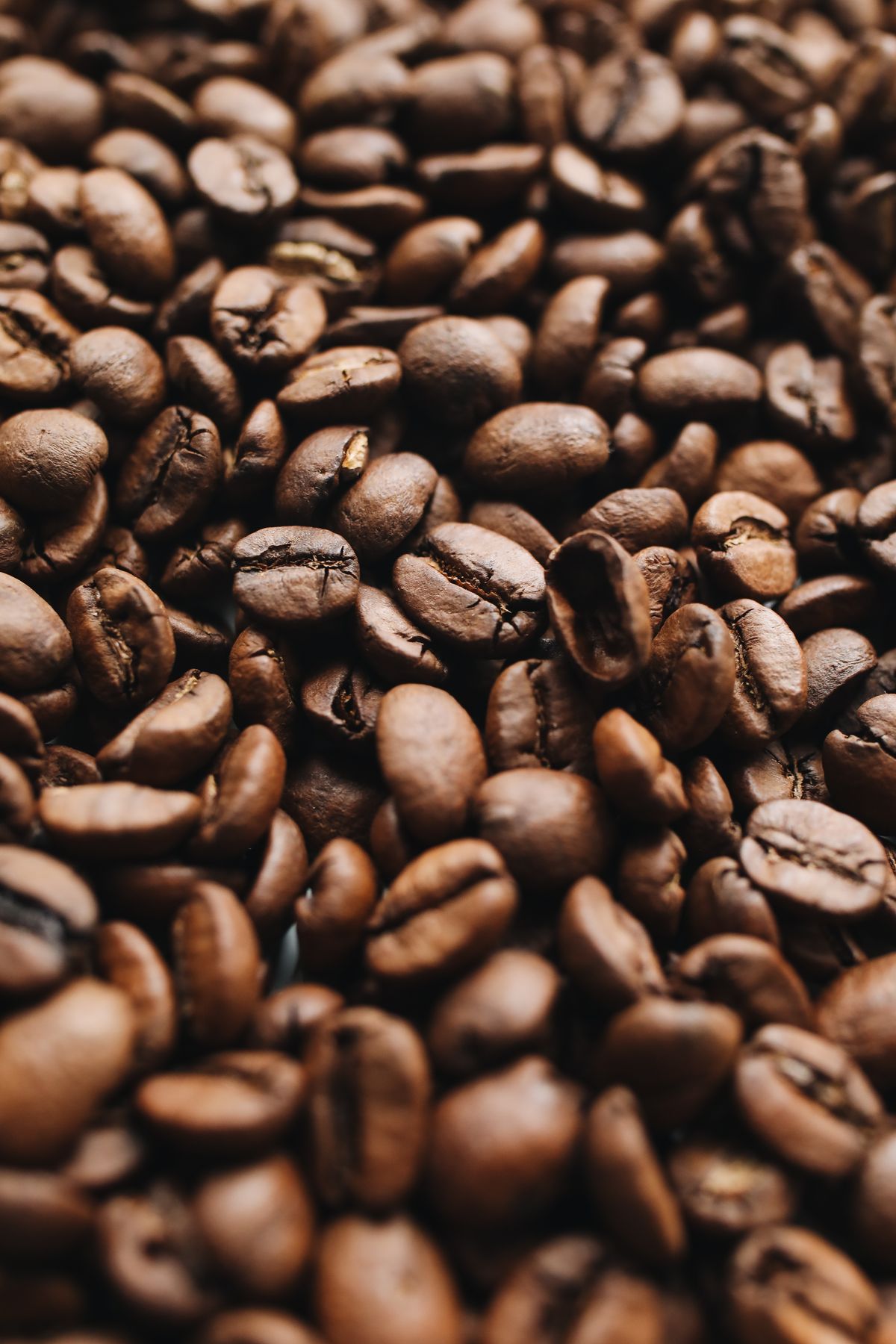 Roasted coffee beans for Antigua lot calibration